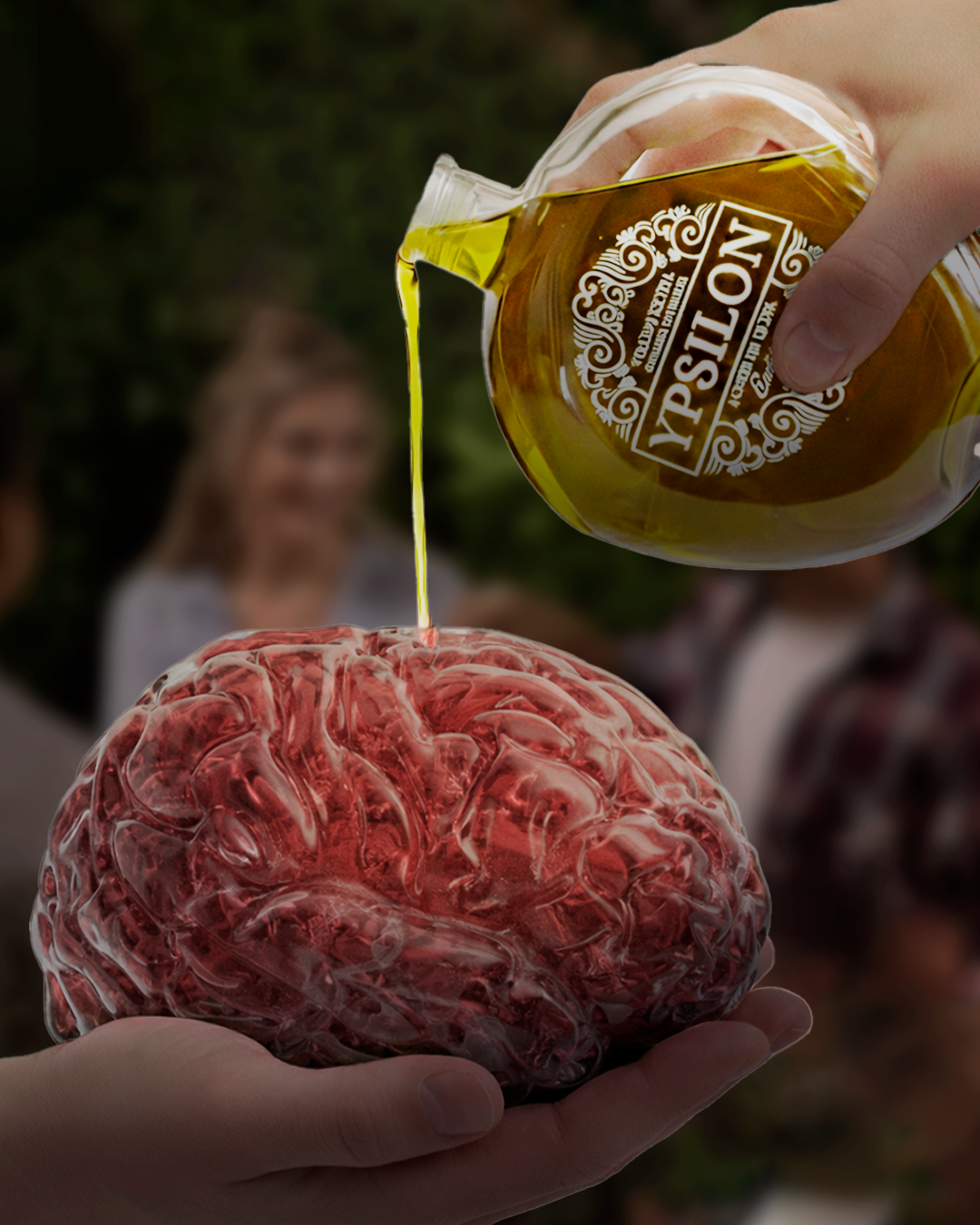 El aceite de oliva virgen extra podría proteger el cerebro gracias a la microbiota intestinal