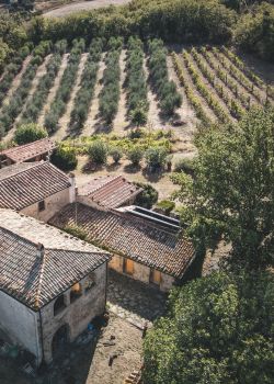 Ypsilon Olive Oil Eventos